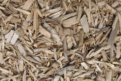 biomass boilers Llwyn Du